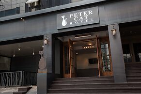 Petercat Hotel Sinchon Hongdae