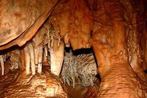 Ghaub Nature Reserve & Farm