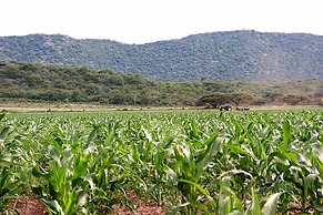 Ghaub Nature Reserve & Farm