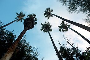 Ghaub Nature Reserve & Farm