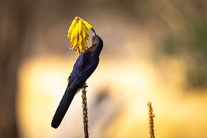 Evolve Back Kalahari