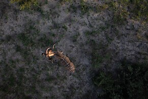 Evolve Back Kalahari