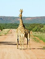 Waterberg Wilderness