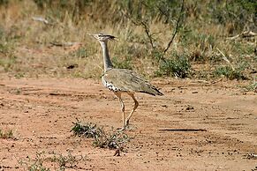 Waterberg Wilderness