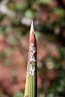 Waterberg Wilderness