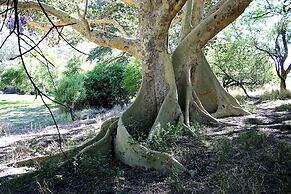Waterberg Wilderness