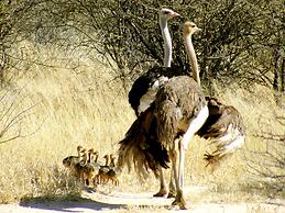 Waterberg Wilderness