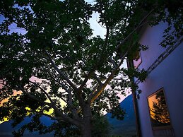 Yufuin Tsukahara Villa ERINA