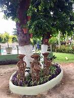 Pousada das Bromélias