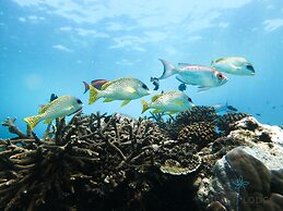 Vilanculos Beach Lodge