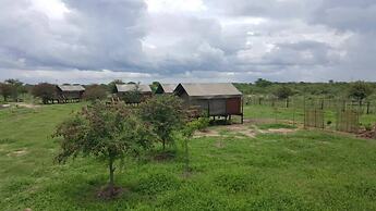 Makumutu Lodge & Campsite