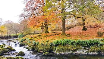 The Firecat Country House B&B