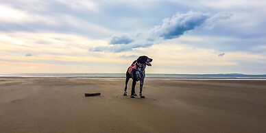 The Firecat Country House B&B