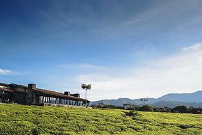 One&Only Nyungwe House
