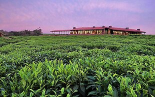 One&Only Nyungwe House