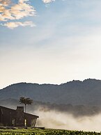 One&Only Nyungwe House