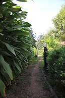 Mek Kiri River Kwai Resort