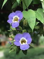 Mek Kiri River Kwai Resort