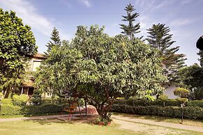 Wood castle Spa & Resort