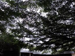 Bermuda Garden Hotel