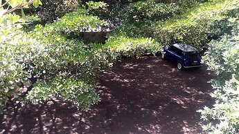 Bermuda Garden Hotel