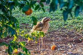 Birds 'n' Bloom Cottages