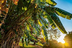 Birds 'n' Bloom Cottages