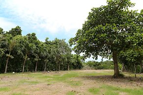 Palm Villa Ishigakijima igusa