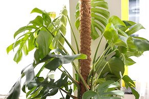 myNext - Campus Hostel