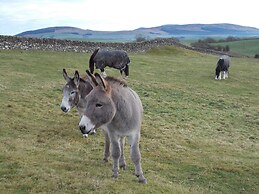 Bluebell Bank