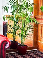 Carlton House Scarborough