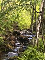 Adirondack Spruce Lodge