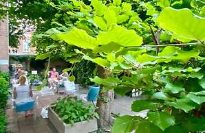 Boutiquehotel Staats