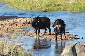 Makumu Private Game Lodge