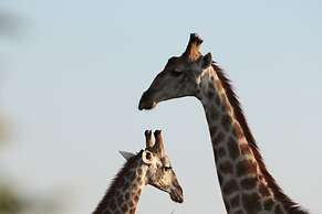 Makumu Private Game Lodge