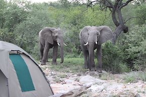 Makumu Private Game Lodge