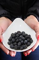 Del Roza Guest House