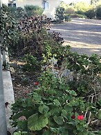 Padthaway Caravan Park