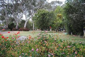 Padthaway Caravan Park