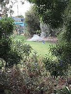 Padthaway Caravan Park