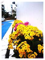 Kenting Little Path B&B