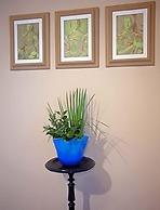 Duchess Boutique Hotel B&B