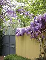 Duchess Boutique Hotel B&B