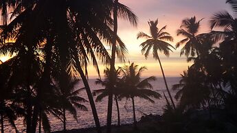 Aquarius Resort
