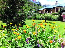 Tea Bush Hotel - Nuwara Eliya
