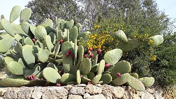 Masseria L'Antico Frantoio