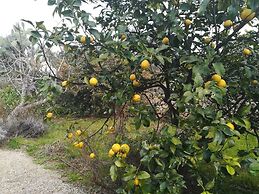 Masseria L'Antico Frantoio