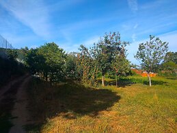 Confortable Countryside House