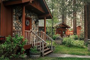Black Bear Lodge