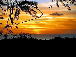 The Nest Tobago Apartments